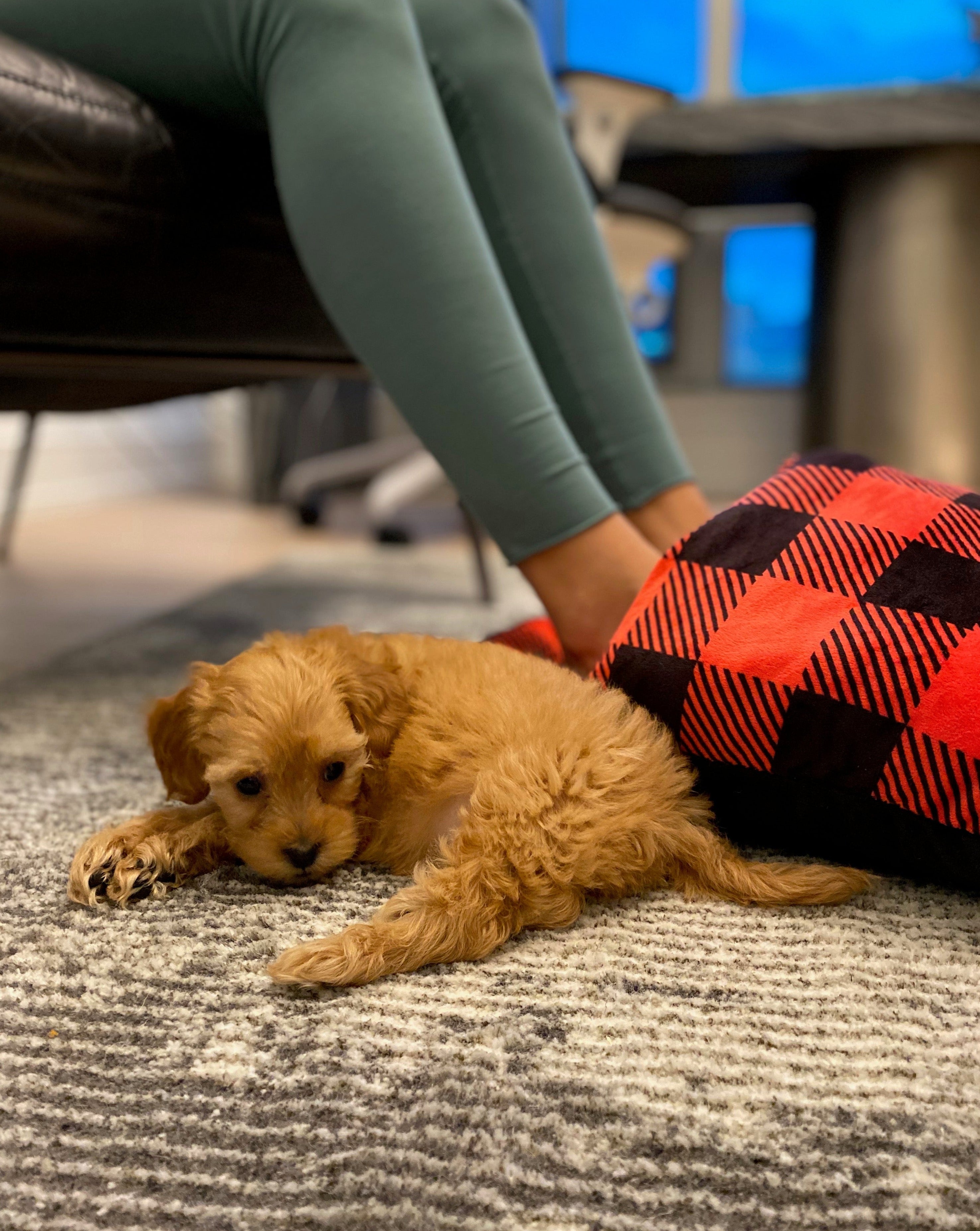Plush Plaid Kushie